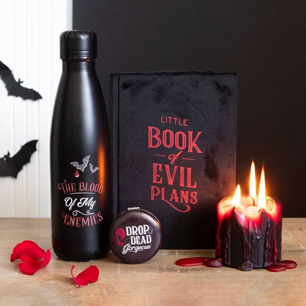 Little Book Of Evil Plans Notebook
